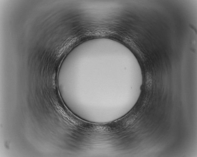 X0000100320585200806261228