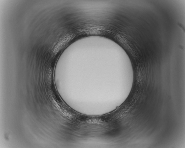 X0000100320586200806261228