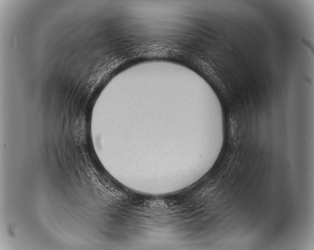 X0000100320588200806261228