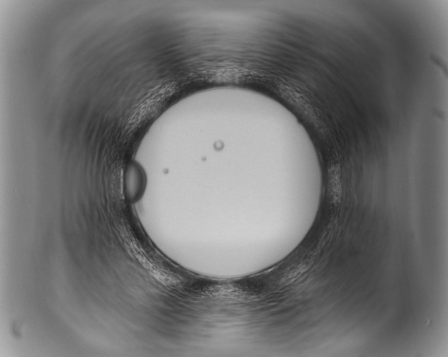 X0000100320589200806261228