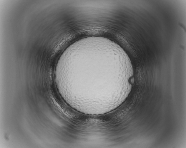 X0000100320590200806261228