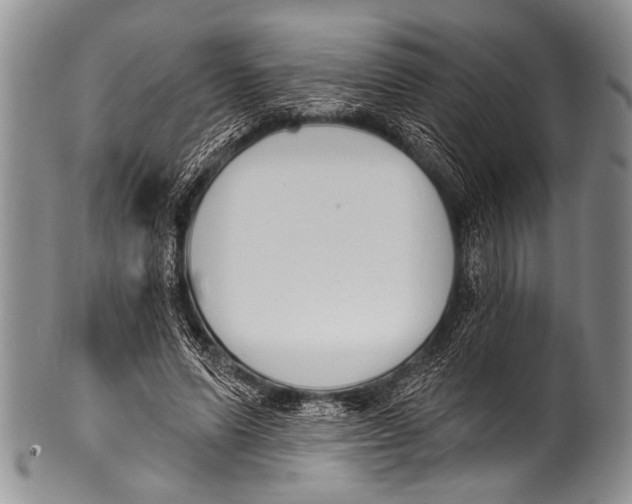 X0000100320591200806261228