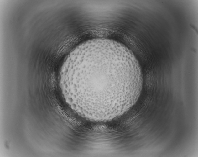 X0000100320594200806261228