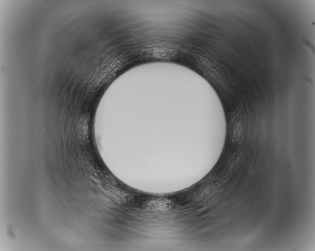 X0000100320595200806261228