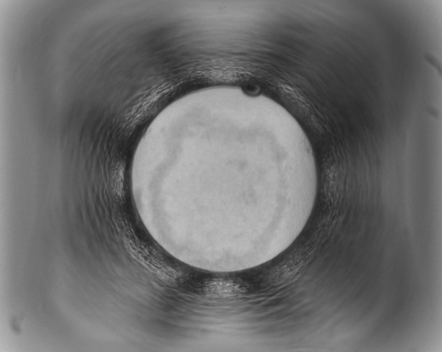 X0000100320596200806261228