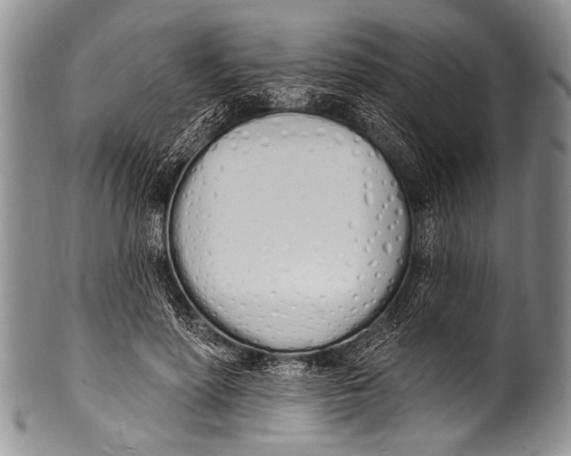 X0000100320598200806261228