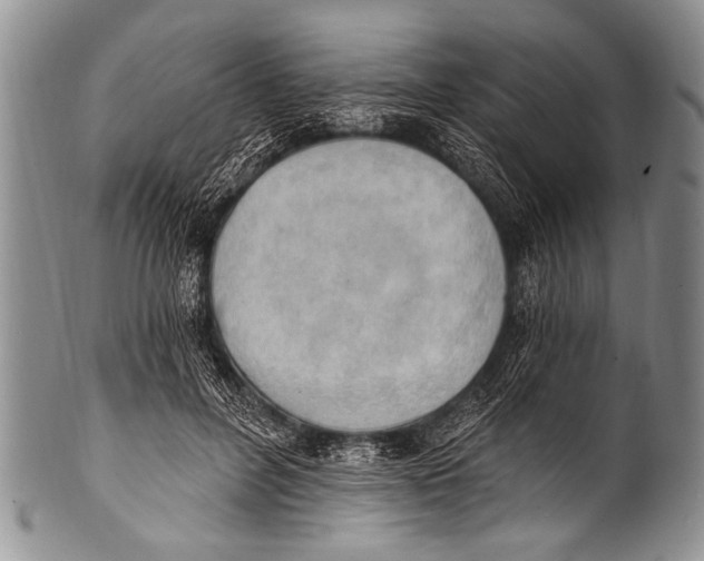 X0000100320600200806261228