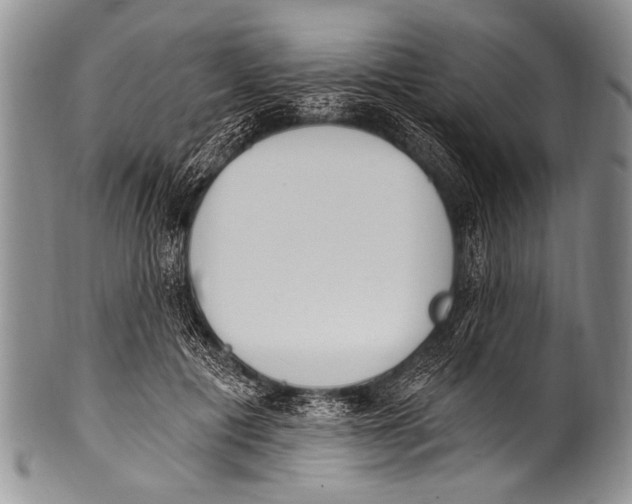 X0000100320601200806261228