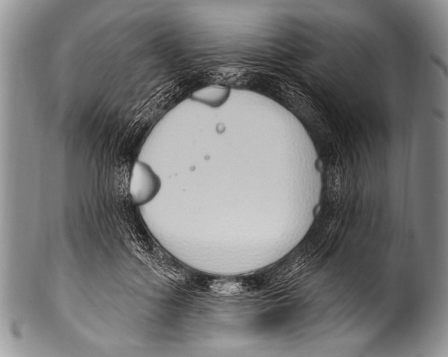 X0000100320602200806261228