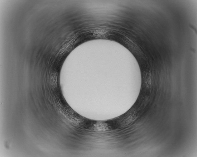 X0000100320603200806261228