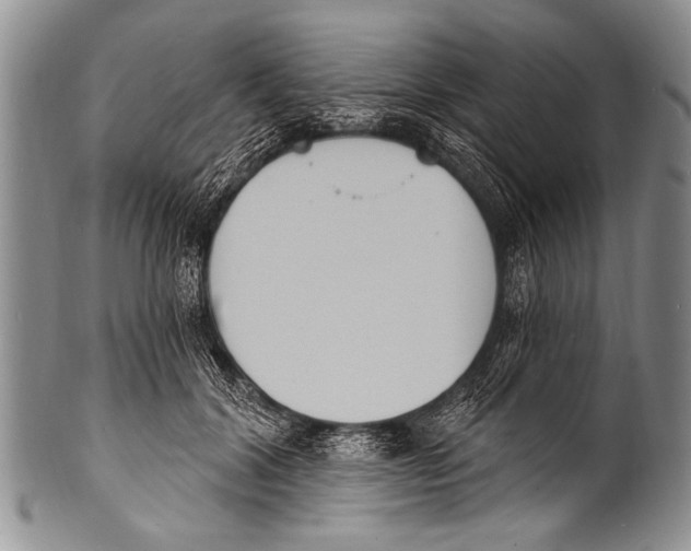 X0000100320604200806261228