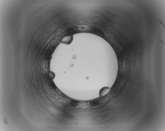 X0000100320606200806261228