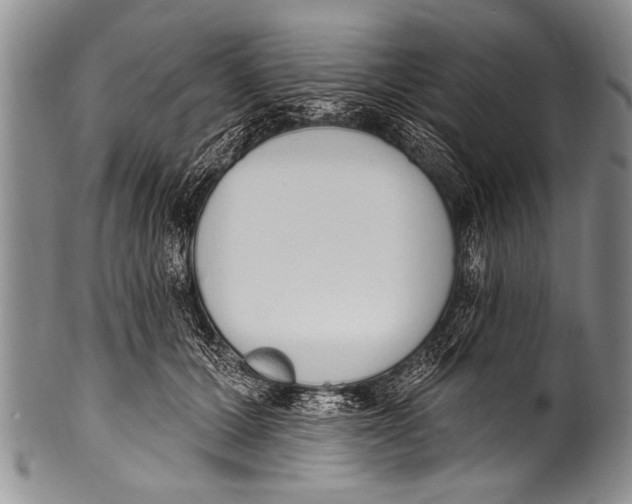 X0000100320607200806261228