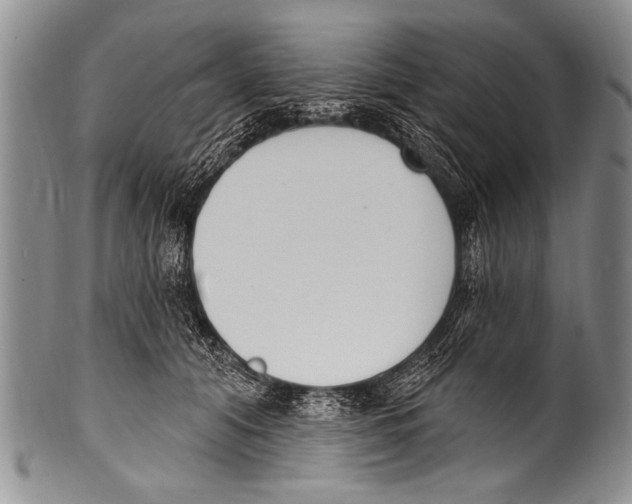 X0000100320608200806261228