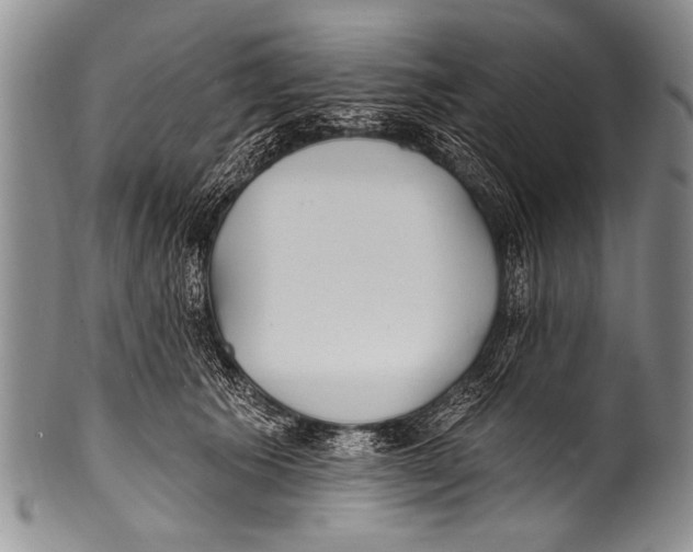 X0000100320609200806261228