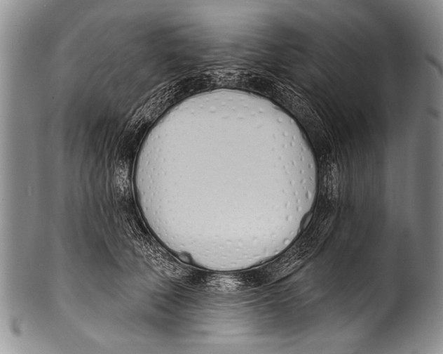 X0000100320610200806261228