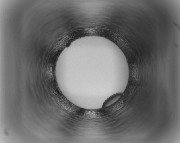 X0000100320611200806261228