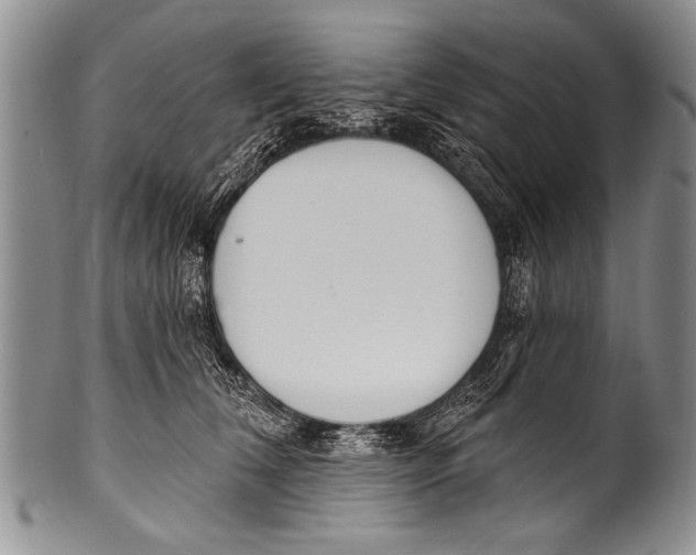 X0000100320612200806261228