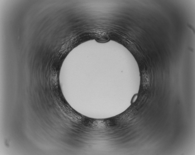 X0000100320613200806261228