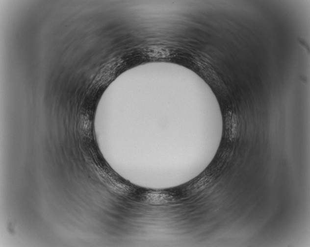 X0000100320614200806261228