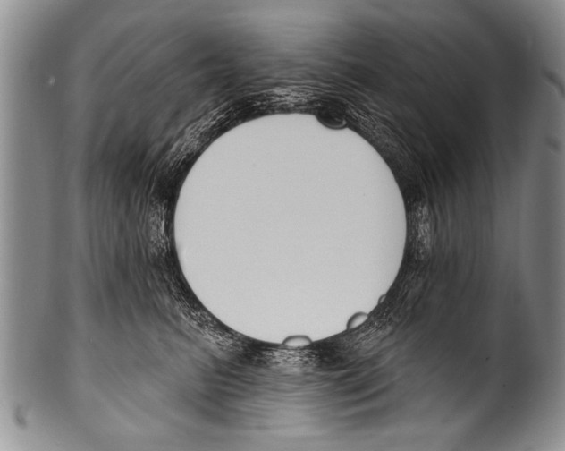 X0000100320615200806261228