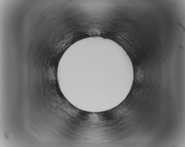 X0000100320616200806261228