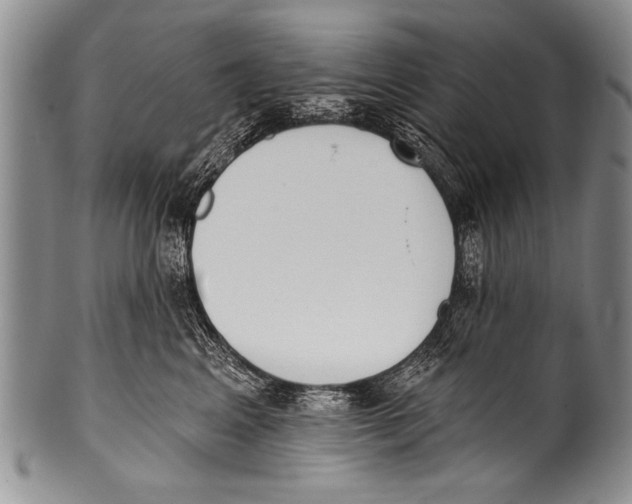 X0000100320617200806261228