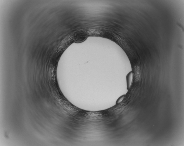 X0000100320619200806261228