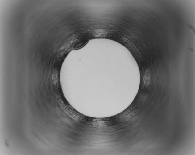 X0000100320620200806261228