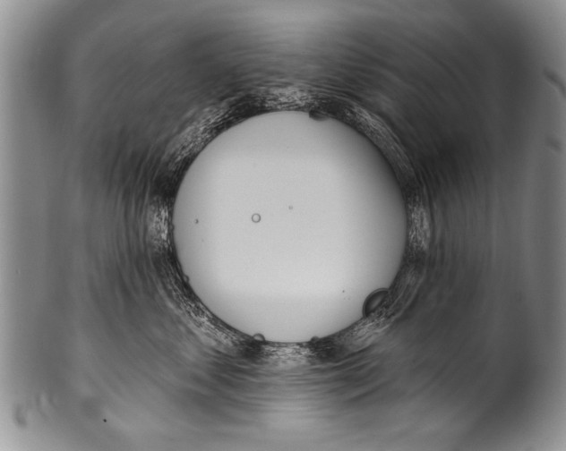 X0000100320621200806261228