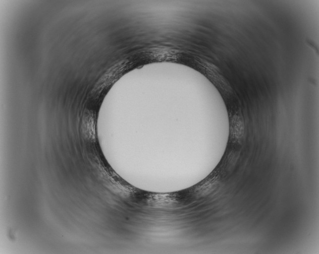 X0000100320622200806261228