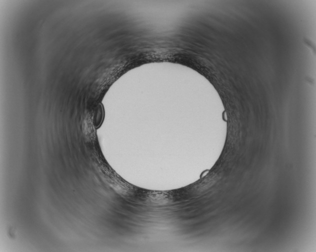 X0000100320624200806261228