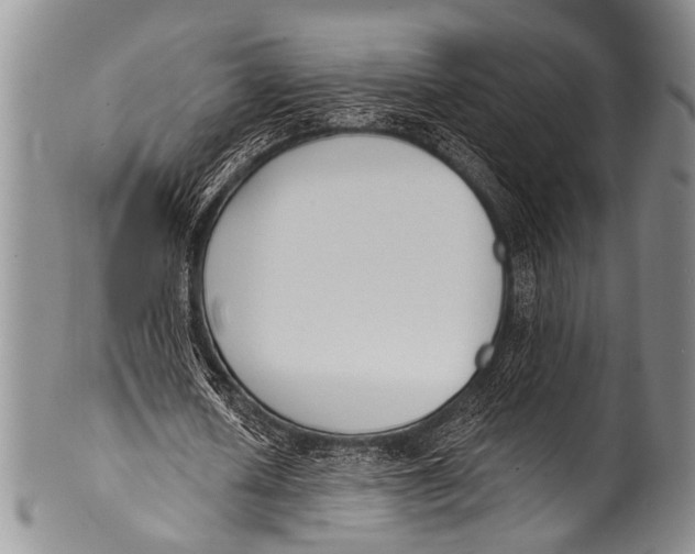 X0000100320626200806261227