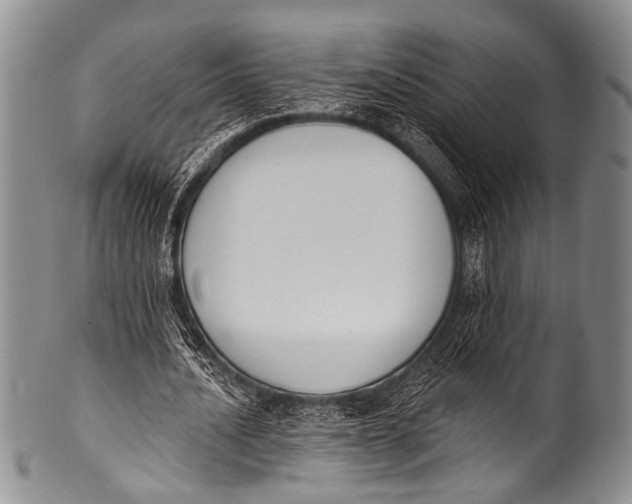 X0000100320628200806261227