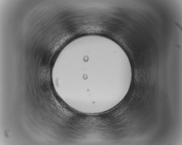 X0000100320629200806261227