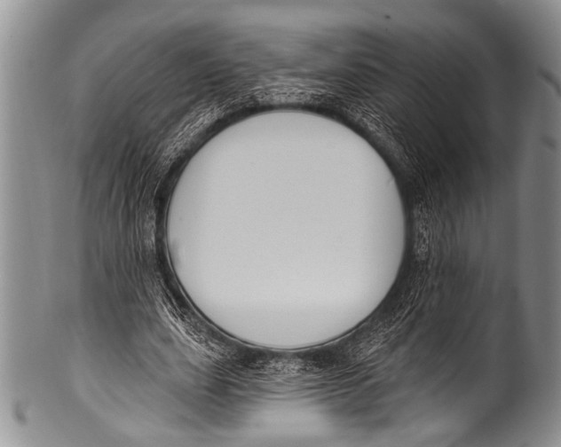 X0000100320631200806261227