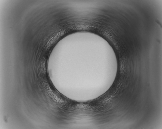 X0000100320633200806261227