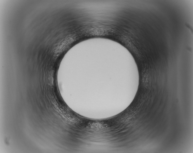 X0000100320635200806261227