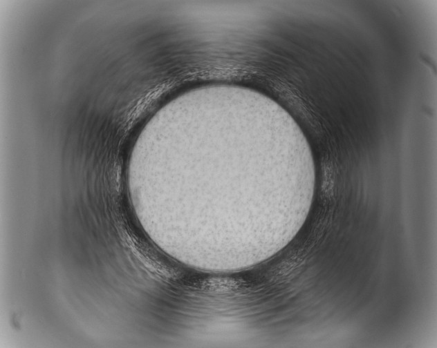 X0000100320636200806261227