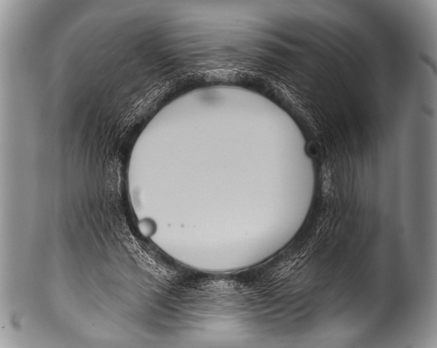 X0000100320637200806261227