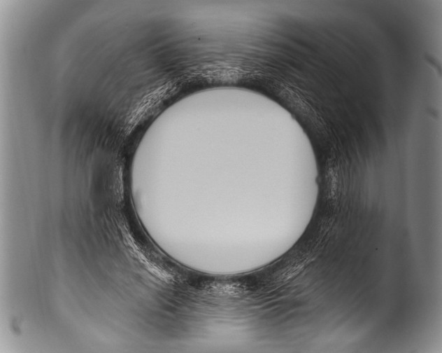 X0000100320638200806261227