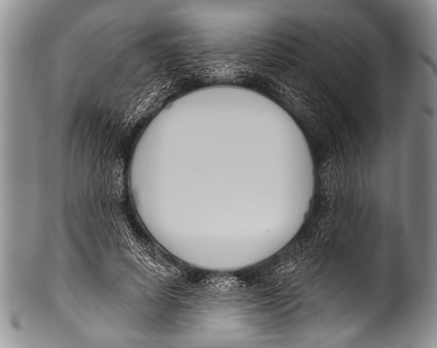 X0000100320642200806261227