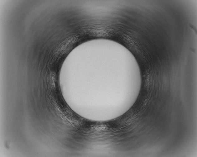 X0000100320643200806261227