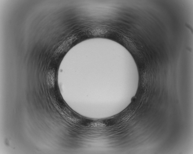 X0000100320644200806261227