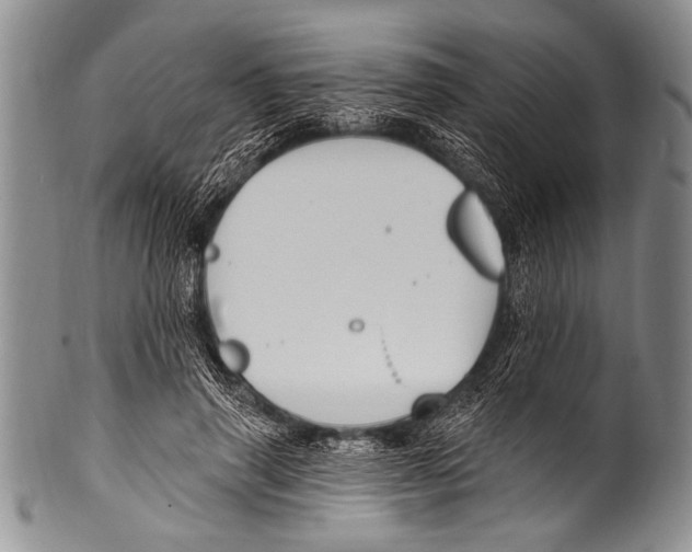 X0000100320645200806261227