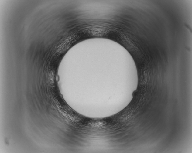 X0000100320646200806261227