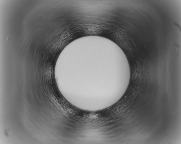 X0000100320647200806261227