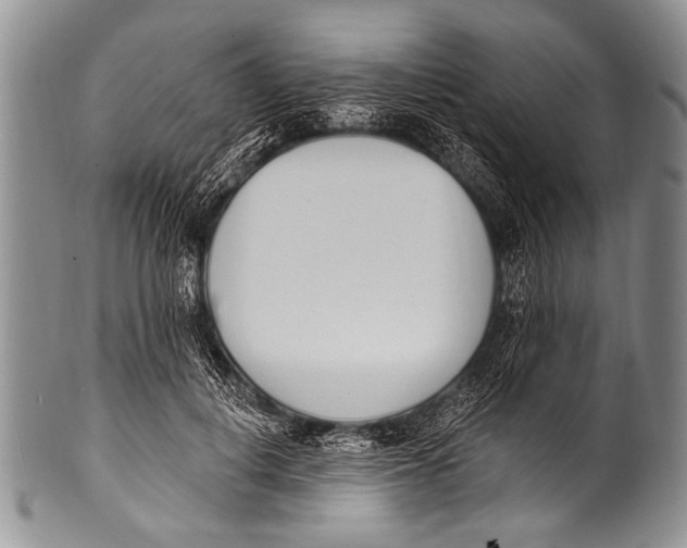 X0000100320648200806261227