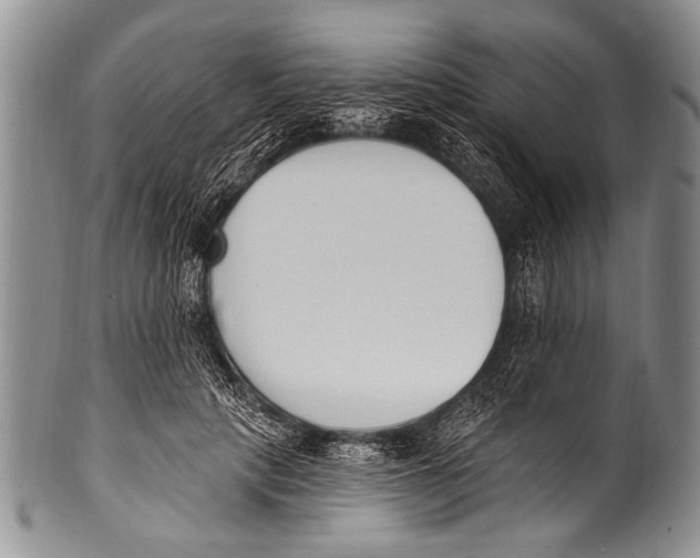 X0000100320649200806261227