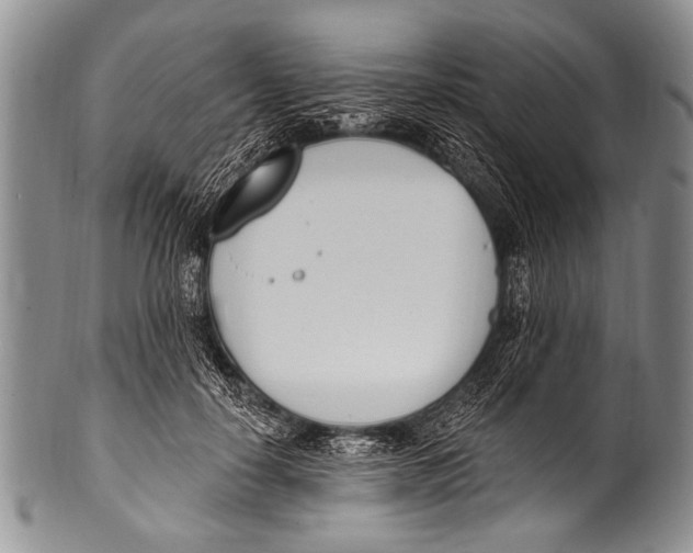 X0000100320650200806261227